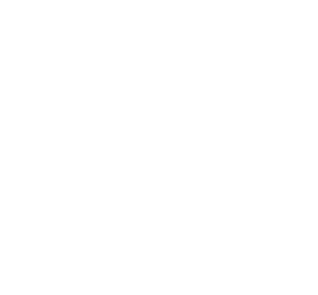 CEO Lifestyle